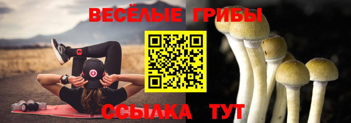 Волгоград  Псилоцибиновые грибы MAGIC MUSHROOMS  Вход с VPN  сколько стоит  Псилоцибиновые грибы Cubensis 